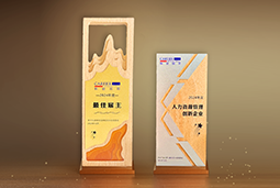 公海gh555000aa国际一举斩获“2024年度中国区最佳雇主”等多项大奖